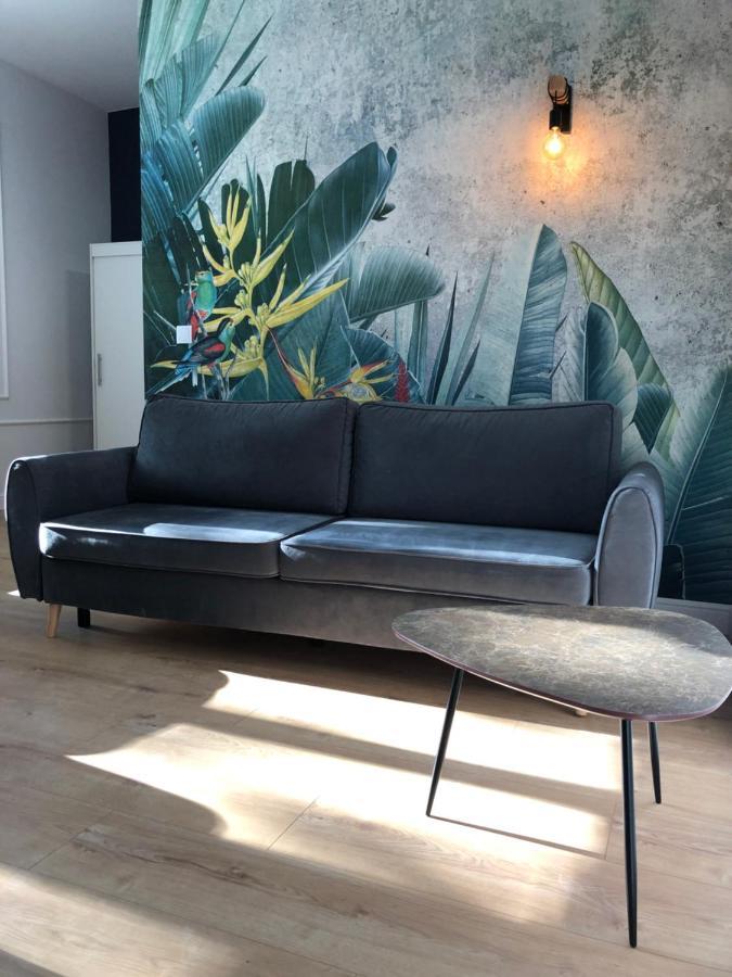Ara Apartament I Stary Toruń Buitenkant foto